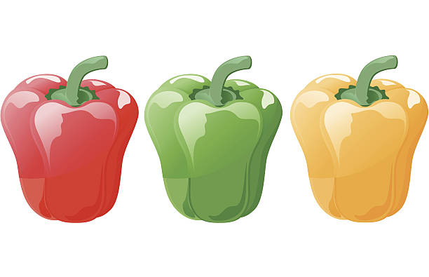 Pepper vector art illustration