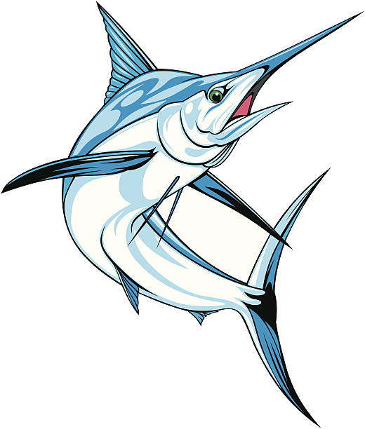 марлин - swordfish stock illustrations