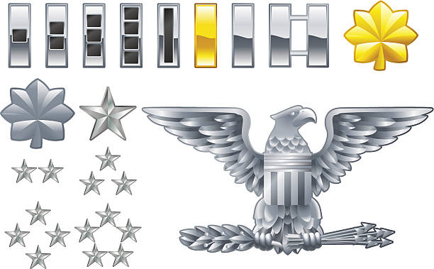 ilustraciones, imágenes clip art, dibujos animados e iconos de stock de oficial del ejército americano filas insignias iconos - brass eagle