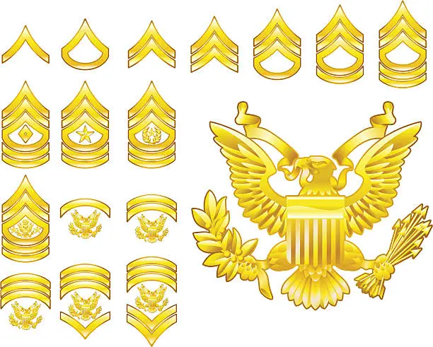 Vector illustration of american army enlisted rank insignia icons