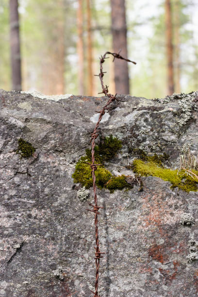 istock Barbwire frome World War II 927367826