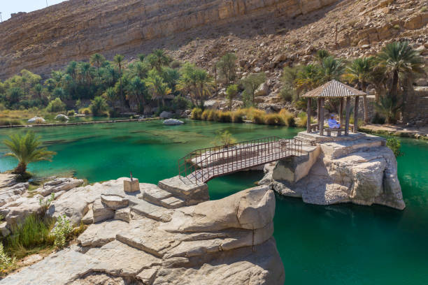 emerald pools in wadi bani khalid, oman - leito de rio imagens e fotografias de stock