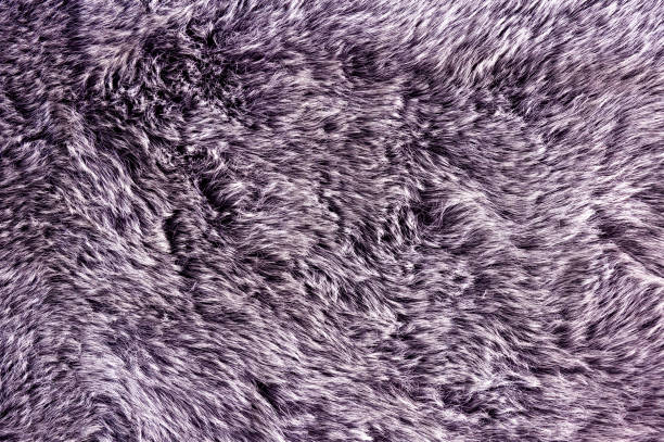 istock A photo of fabric carpet 927375488