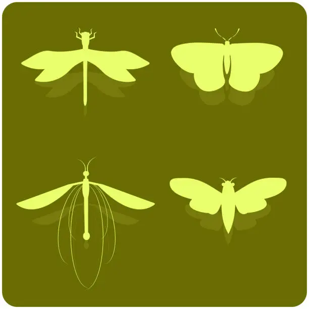 Vector illustration of Insects Silhouettes