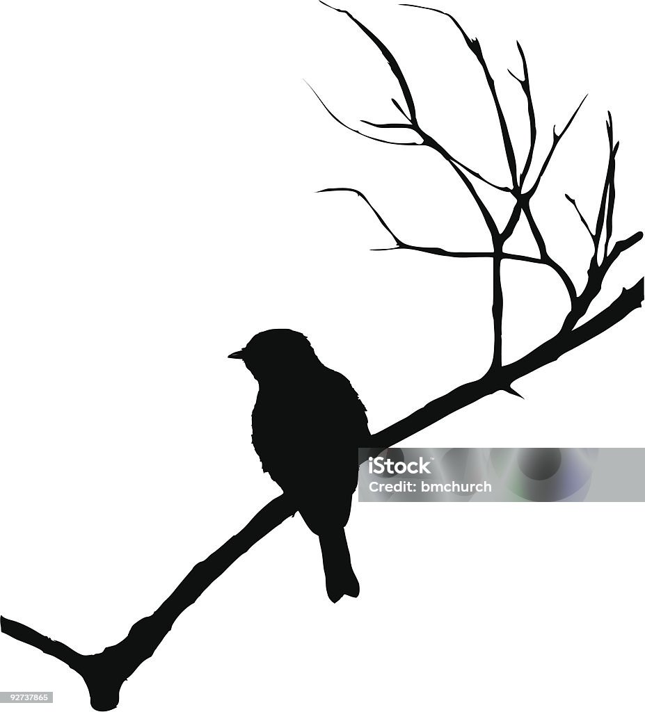 Silhouette di uccello su un ramo - arte vettoriale royalty-free di Uccello