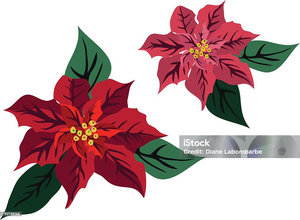 Illustration de poinsettias - clipart vectoriel de Décoration de Noël libre de droits