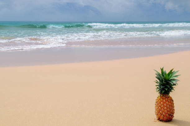 istock Fresh pineapple on the beach. Tropical summer delights. 927383026