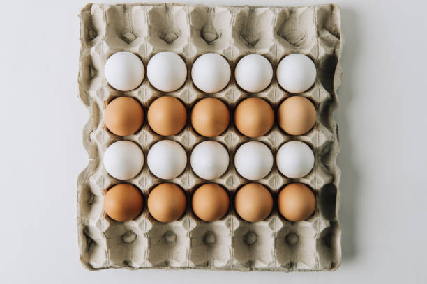 istock white and brown eggs laying in egg carton on white background 927383438