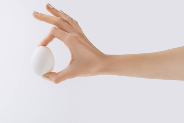 istock cropped image of hand holding egg on white background 927383564