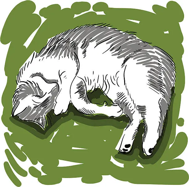 Vector illustration of Pussy Cat