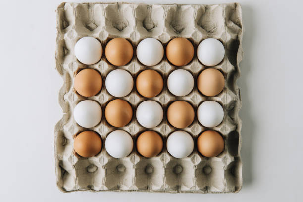 istock white and brown eggs laying in egg carton on white background 927385864