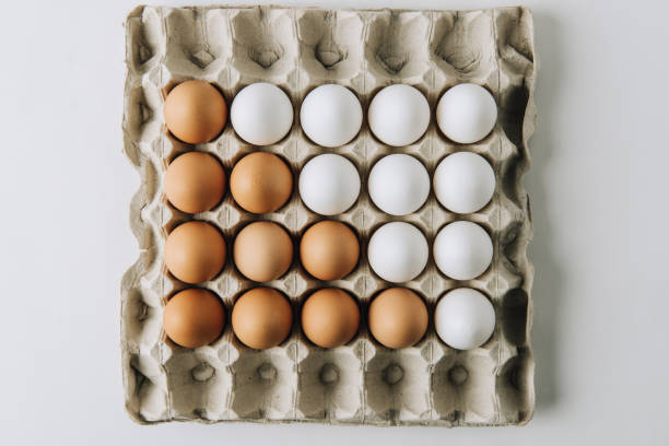 istock white and brown eggs laying in egg carton on white background 927385902