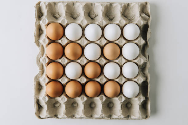 istock white and brown eggs laying in egg carton on white background 927386198