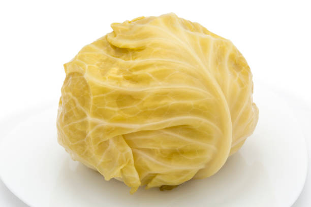 kapusta kwaśna - sauerkraut cabbage vegetable white cabbage zdjęcia i obrazy z banku zdjęć