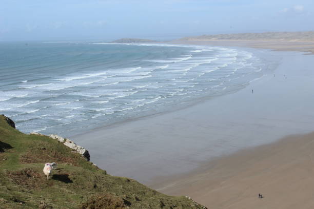 istock Long, sandy beach in background, with rocks in foreground 927386944