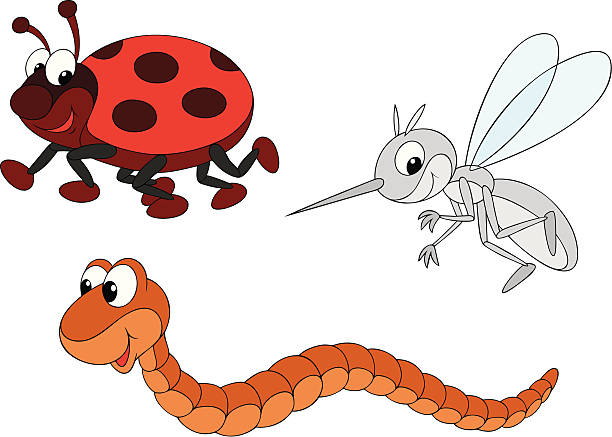 Gnat Vector 170+ Gnat Clip Art Stock Illustrations, Royalty-Free Vector Graphics ...