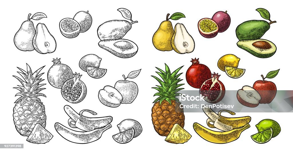 Set fruits. Pineapple, lime, banana, pomegranate, maracuya, avocado. Set fruits. Isolated on the white background. Pineapple, lime, banana, pomegranate, maracuya, avocado. Vector color and black hand drawn vintage engraving illustration for label and menu. Avocado stock vector