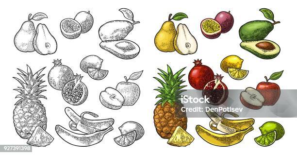 Set Fruits Pineapple Lime Banana Pomegranate Maracuya Avocado Stock Illustration - Download Image Now