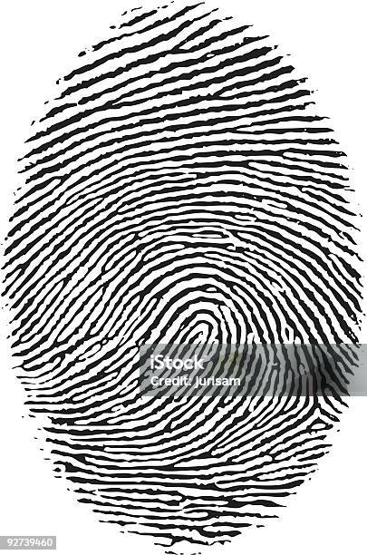 Finger Print Stock Vektor Art und mehr Bilder von Daumenabdruck - Daumenabdruck, Vektor, Fingerabdruck