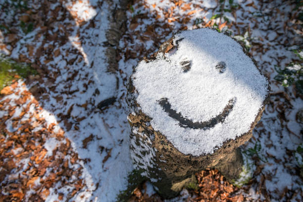 Smiley face emoji drawn on snow covered tree stump
