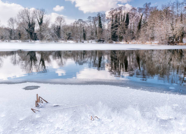 istock Reflections in a frozen forest lake 927398736