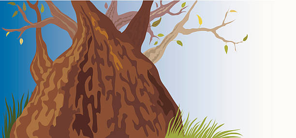 Old Tree (vector + XXL jpg in ZIP folder) vector art illustration