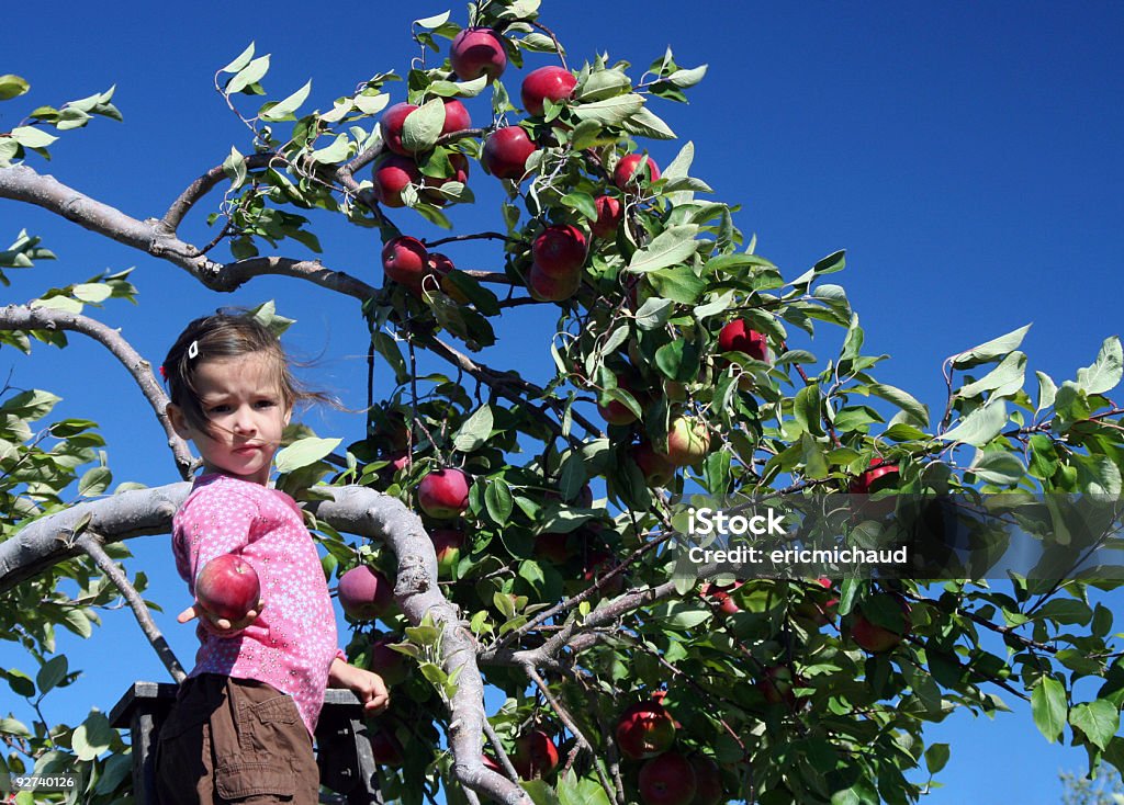 픽킹 사과들 - 로열티 프리 4-5세 스톡 사진