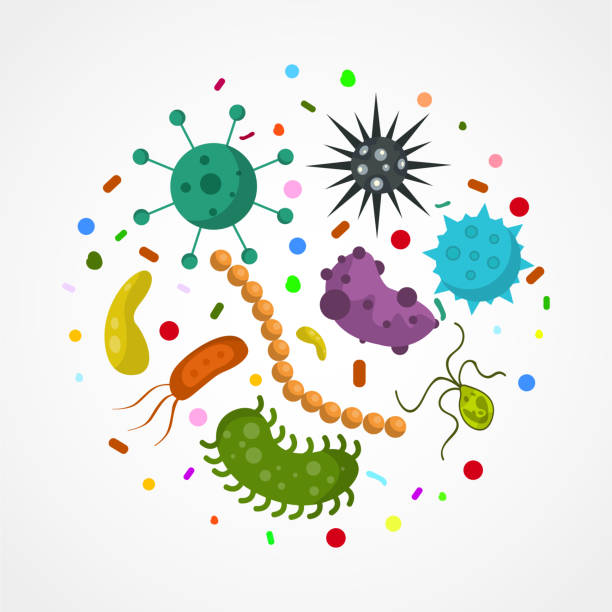 ilustraciones, imágenes clip art, dibujos animados e iconos de stock de microorganismo bacteriano en un círculo aislado sobre fondo blanco. estilo plano. ilustración vectorial de stock de diferentes gérmenes, organismos primitivos. - mrsa infectious disease bacterium science