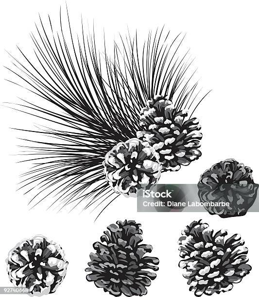 Schwarz Und Weißkiefer Kegel Clipart Stock Vektor Art und mehr Bilder von Zapfen - Zapfen, Schnee, Schwarzweiß-Bild