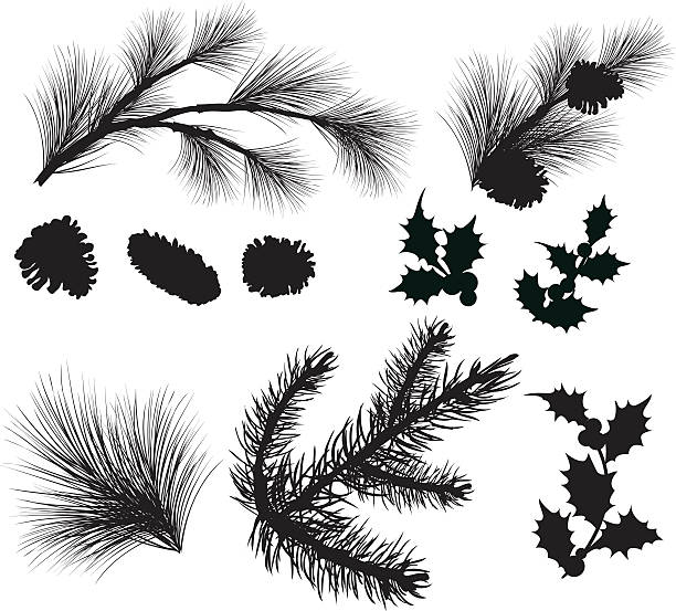 Evergreen Sprigs and Holly Leafs Silhouettes Clipart Evergreen tree elements silhouettes with various sized Pine cones and multiple sprigs of evergreen branches. Spruce and holly leaf with berries silhouettes. Elements can be manipulated and moved. needle plant part stock illustrations