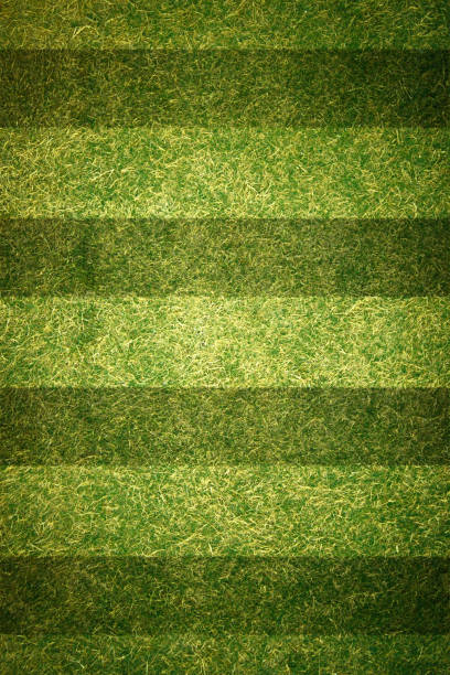 istock Striped Soccer Field 927407052