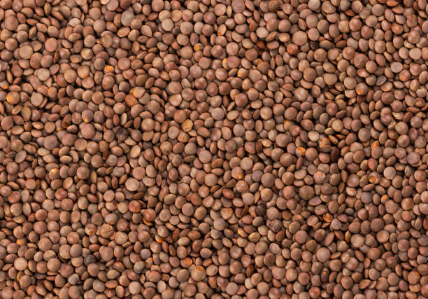 brown lentils texture - lentil full frame macro close up imagens e fotografias de stock
