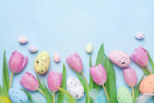 istock Spring composition with pink tulip, colorful eggs and feathers on blue table top view. Happy Easter card. 927407390