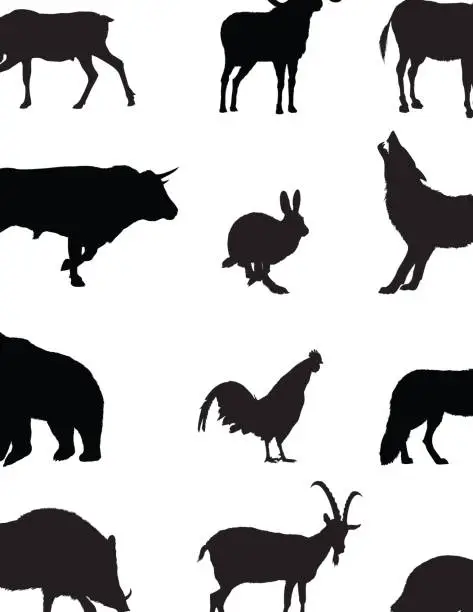 Vector illustration of Domestic and Wild Animals Silhouette