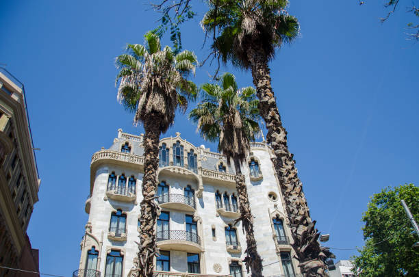 Palm trees against a blue sky and building with thin clouds in Barcelona, Spain. Beautiful blue sunny day. Tree palm trees in hot summer day against sky and house