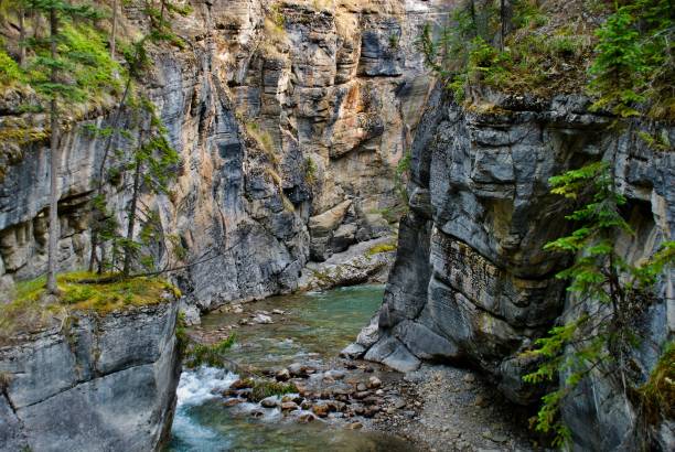 canyon di jasper - lago maligne foto e immagini stock