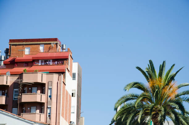 istock Palm trees against a blue sky and building with thin clouds in Barcelona, Spain. Beautiful blue sunny day. Tree palm trees in hot summer day against sky and house. 927415212