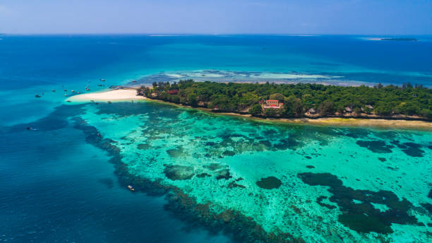 istock Prison island. Zanzibar, Tanzania. 927417824