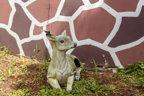 Fawns are saved from certain death by hunters with the help of drones before mowing
