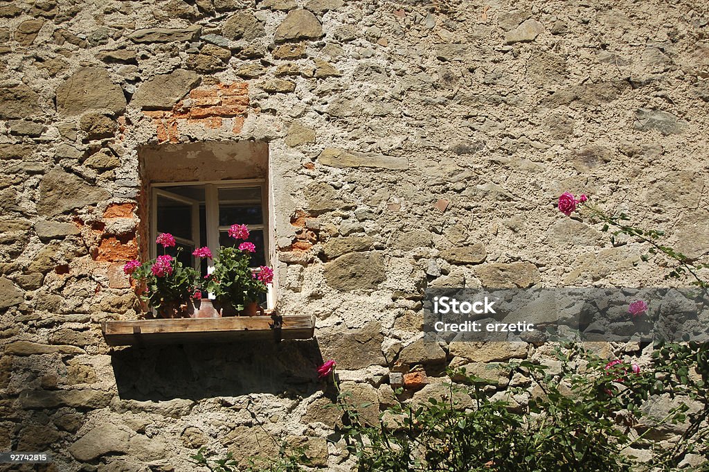 A janela - Royalty-free Rosa - Flor Foto de stock