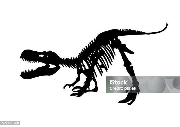 Tyrannosaurus Rex Skeleton Fossil Isolated Dinosaur Vector Illustration On White Background Stock Illustration - Download Image Now