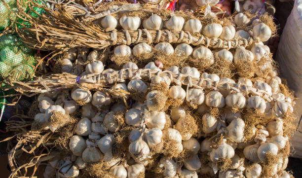 istock Bunch of garlic bulbs at the bazaar 927433650