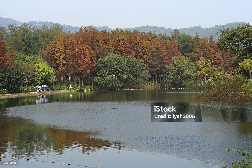 Weekend of winter  Color Image Stock Photo