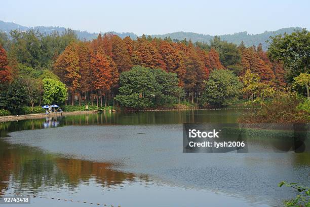 Weekend Of Winter Stock Photo - Download Image Now - Color Image, Fishing, Horizontal