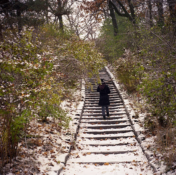 Snowy Steps stock photo