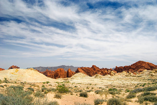 Kolorowy krajobraz pustyni – zdjęcie
