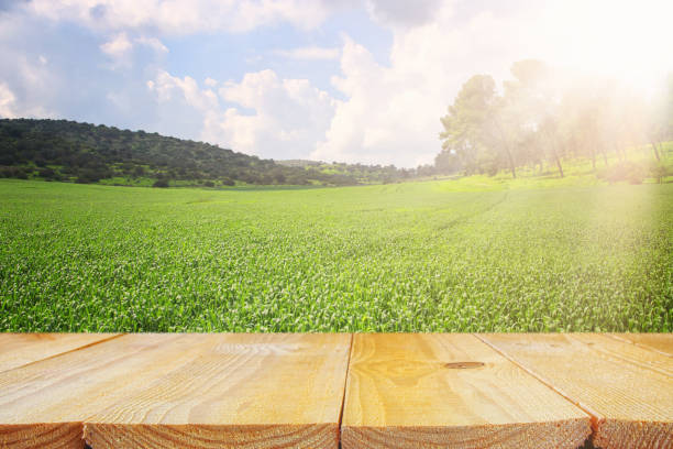 Empty rustic table in front of countryside background. product display and picnic concept