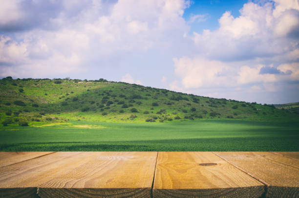 istock Empty rustic table in front of countryside background. product display and picnic concept. 927437196