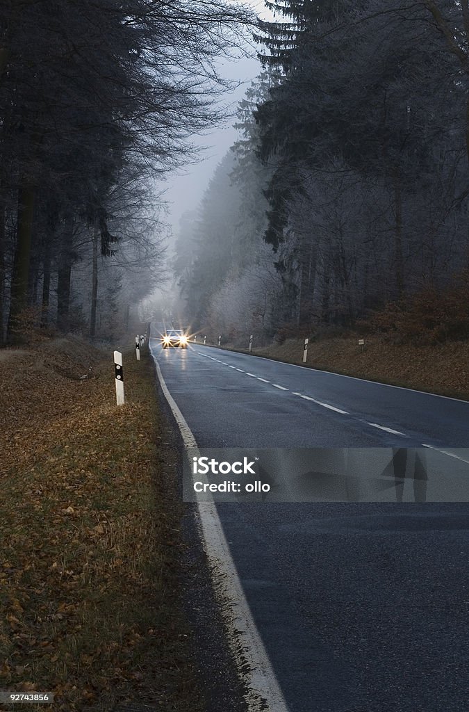 Samochód z wzmocnione świetle reflektorów na lonesome Las Droga - Zbiór zdjęć royalty-free (Bez ludzi)