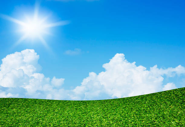 istock Green field under blue sky and sun 927439622